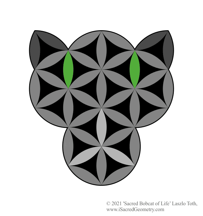 i sacred geometry sacred bobcat of life gr art design laszlo toth