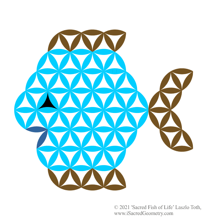 i sacred geometry sacred fish of life discus blue art design laszlo toth