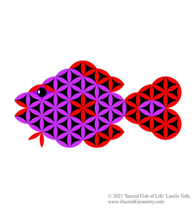 i sacred geometry sacred fish of life purp art design laszlo toth