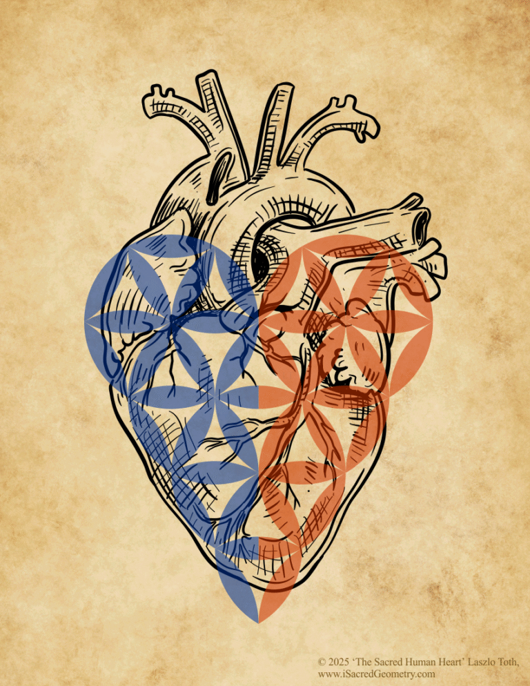iSacredGeometry Hidden Geometry within the Heart Sacred Human Heart vintage Letter Laszlo T full