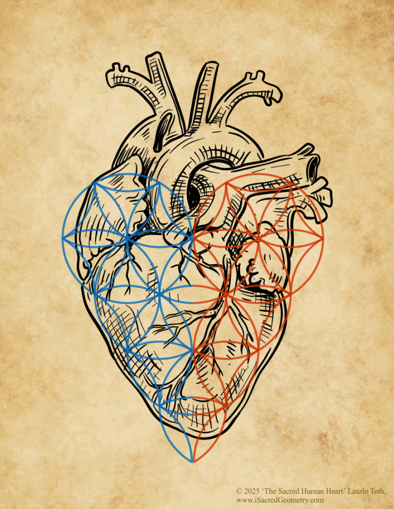 iSacredGeometry Hidden Geometry within the Heart Sacred Human Heart vintage Letter Laszlo T full