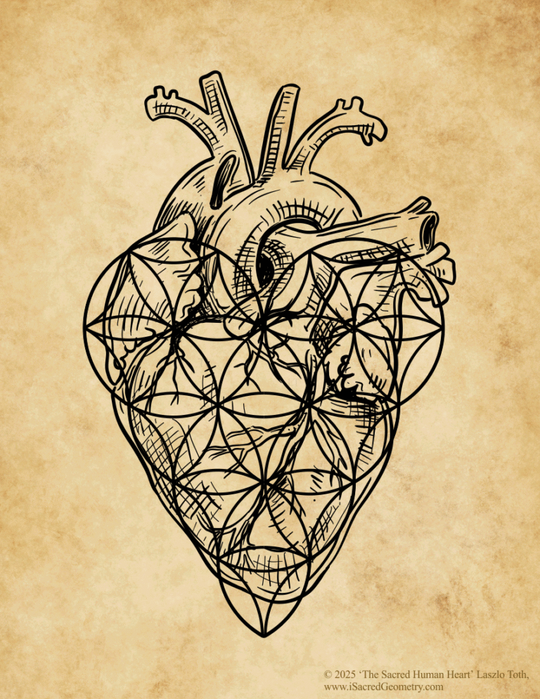 iSacredGeometry Hidden Geometry within the Heart Sacred Human Heart vintage Letter Laszlo T full