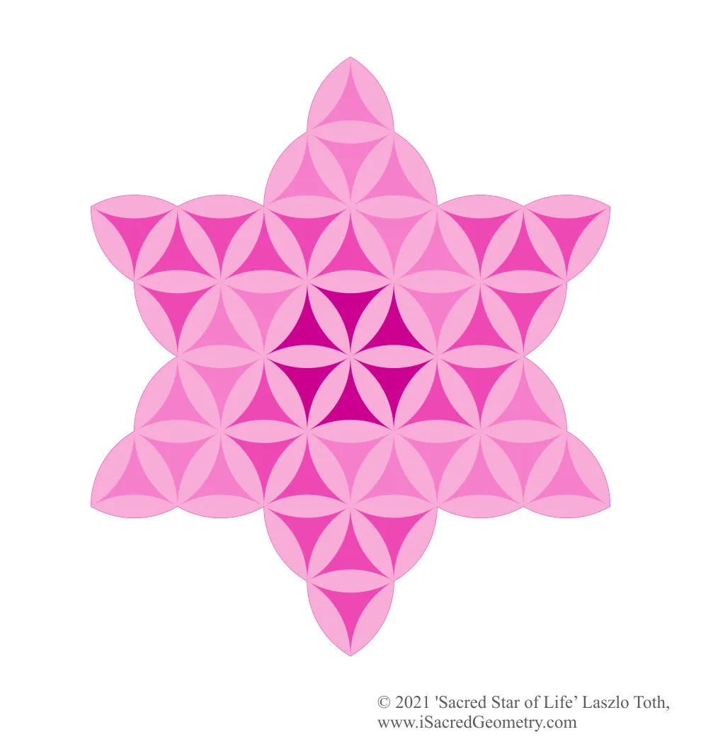 iSacredGeometry Sacred Star of Life D Pink Inverse White Backg Web Laszlo T